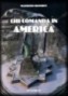 CHI COMANDA IN AMERICA